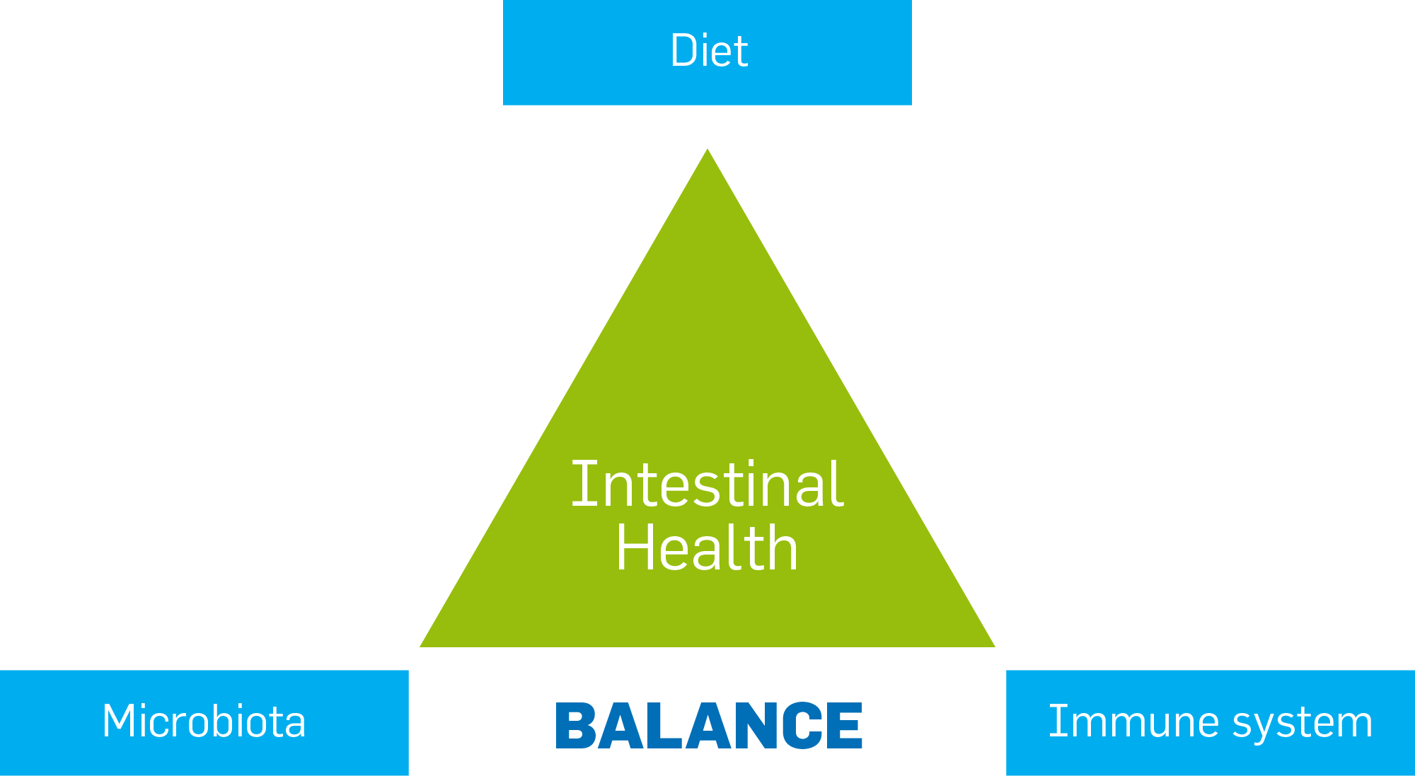 Intestinal healt triangle.png